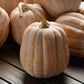 Autumn frost squash on a wooden table showing the orangish white smooth skin and long stem.