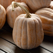 Autumn frost squash on a wooden table showing the orangish white smooth skin and long stem.
