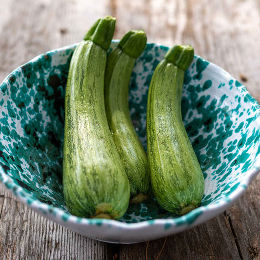 A bowl of Caserta squash showing the light green skin with dark green stem.