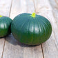 A squat green cupcake squash showing the dark green skin and small stem