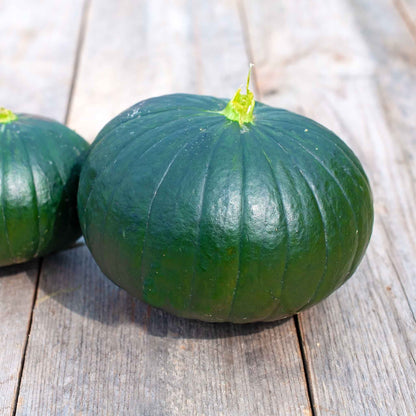 A squat green cupcake squash showing the dark green skin and small stem