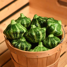 A basket of scallop shaped Green Lightning squash with a unique shape and green and white striped skin