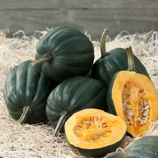 Acorn Table Queen squash with prominent ridges and an orange interior is shown. | copyright: Floramedia UK Ltd