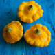 Squash Seeds (Summer) - Scallop Yellow Bush