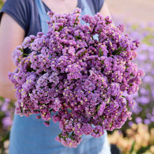 A person holding a bouquet of statice forever rose flowers in a garden setting.
