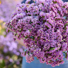 A close up of a person holding a bouquet of statice forever rose flowers in a garden setting.