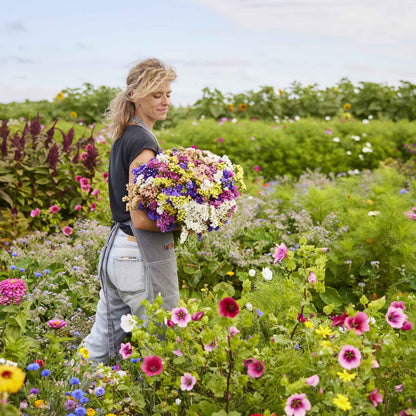 Person holding statice pacific mix purple bouquet in a colorful flower field background