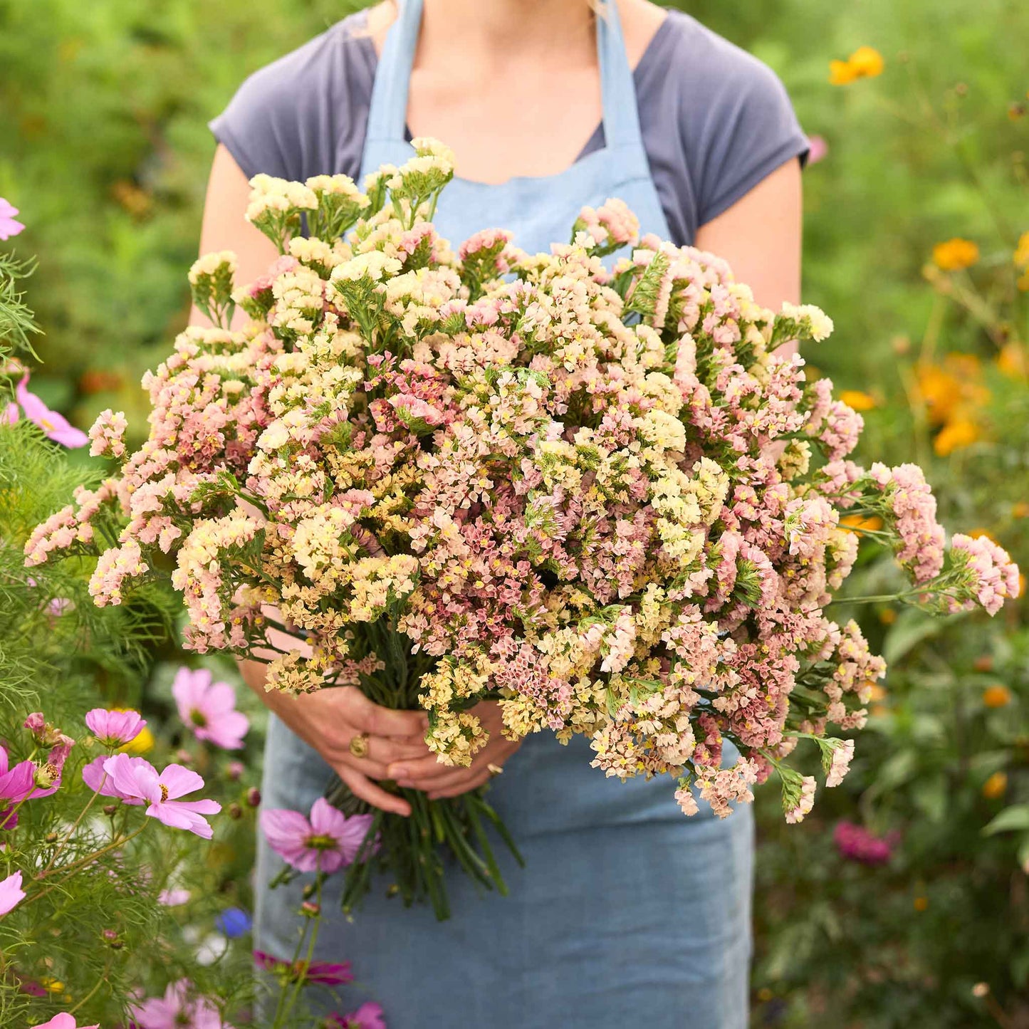 Person holding a bouquet of qis apricot statice flowers in a garden setting