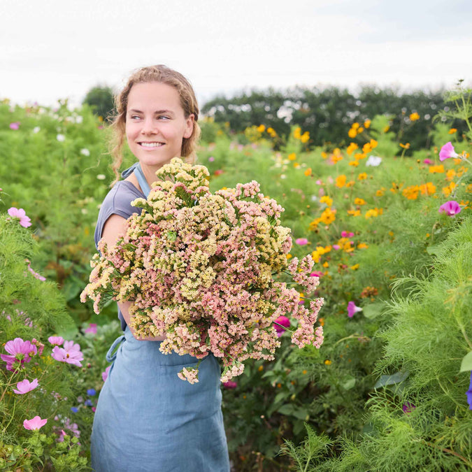 Woman holding a bouquet of qis apricot statice flowers in a field of colorful flowers
