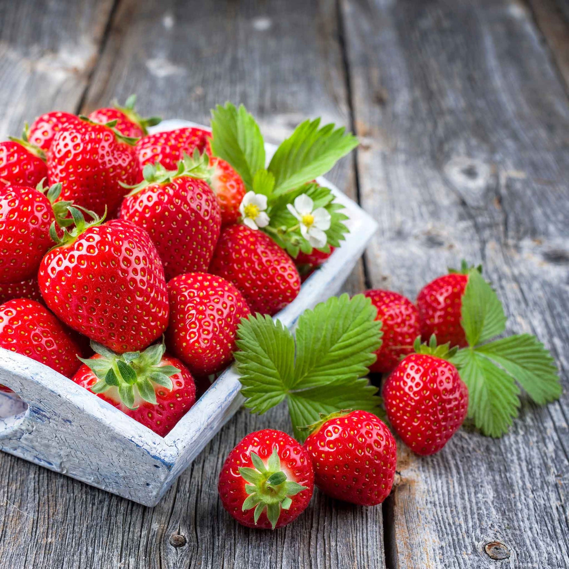 Fresh honeoye strawberries with green leaves on a wooden surface