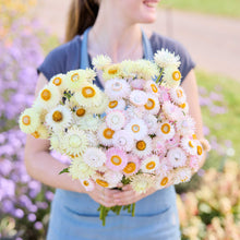Person holding a bouquet of colorful flowers from the strawflower frosted silver bundle in a natural setting