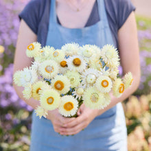 Person holding a bouquet of light yellow flowers from the strawflower frosted silver bundle in a natural setting