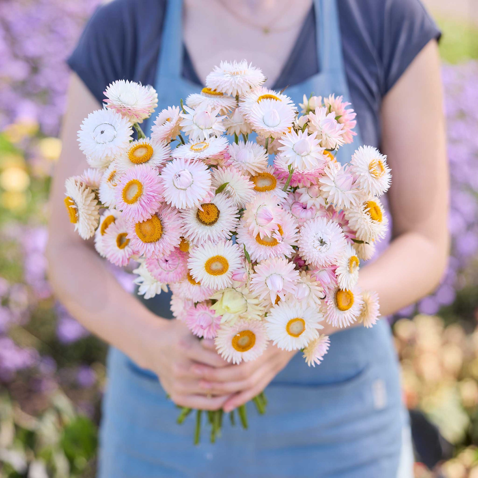 Person holding a bouquet of colorful flowers from the strawflower frosted silver bundle in a natural setting