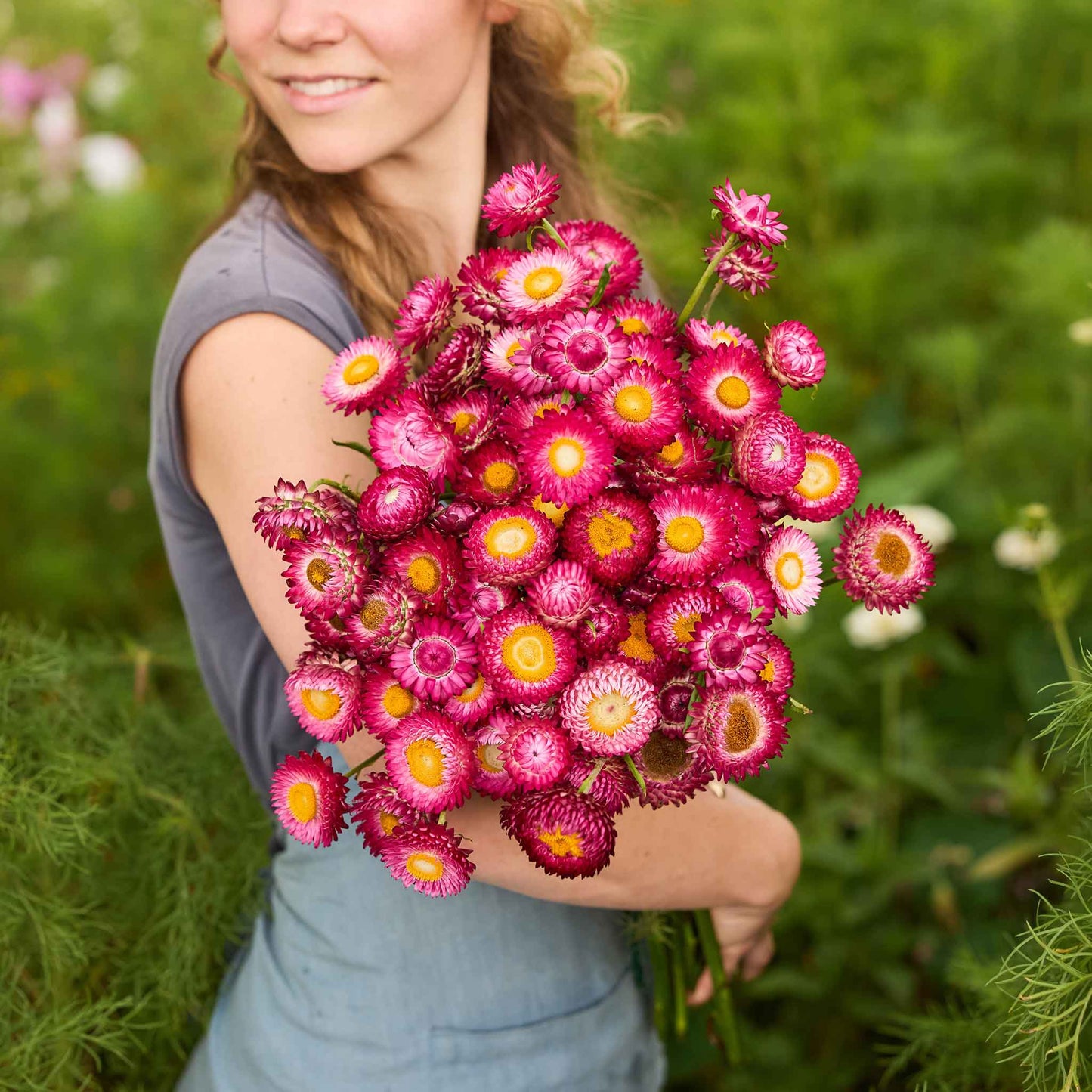 Woman holding a bouquet of purple red  strawflowers in a garden setting