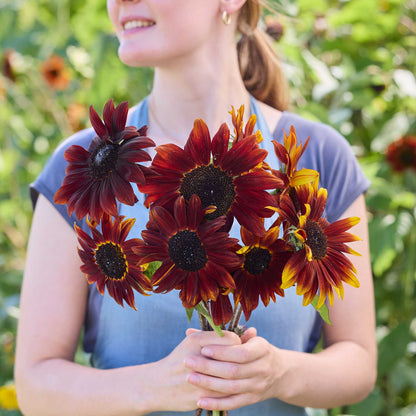 A person holding a bouquet of sunflower claret f1 sunflowers in a natural setting.