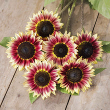 Bright yellow desert sun sunflower showcasing vibrant colors on a natural backdrop