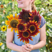 A person holding a bouquet of sunflower ruby in a garden setting.
