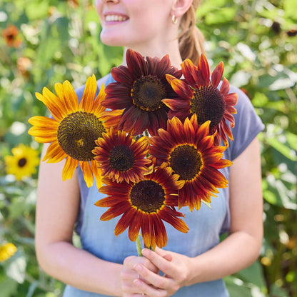 A person holding a bouquet of sunflower ruby in a garden setting.