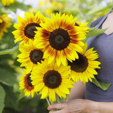A person holding a bouquet of yellow sunflower solar power in a garden setting.