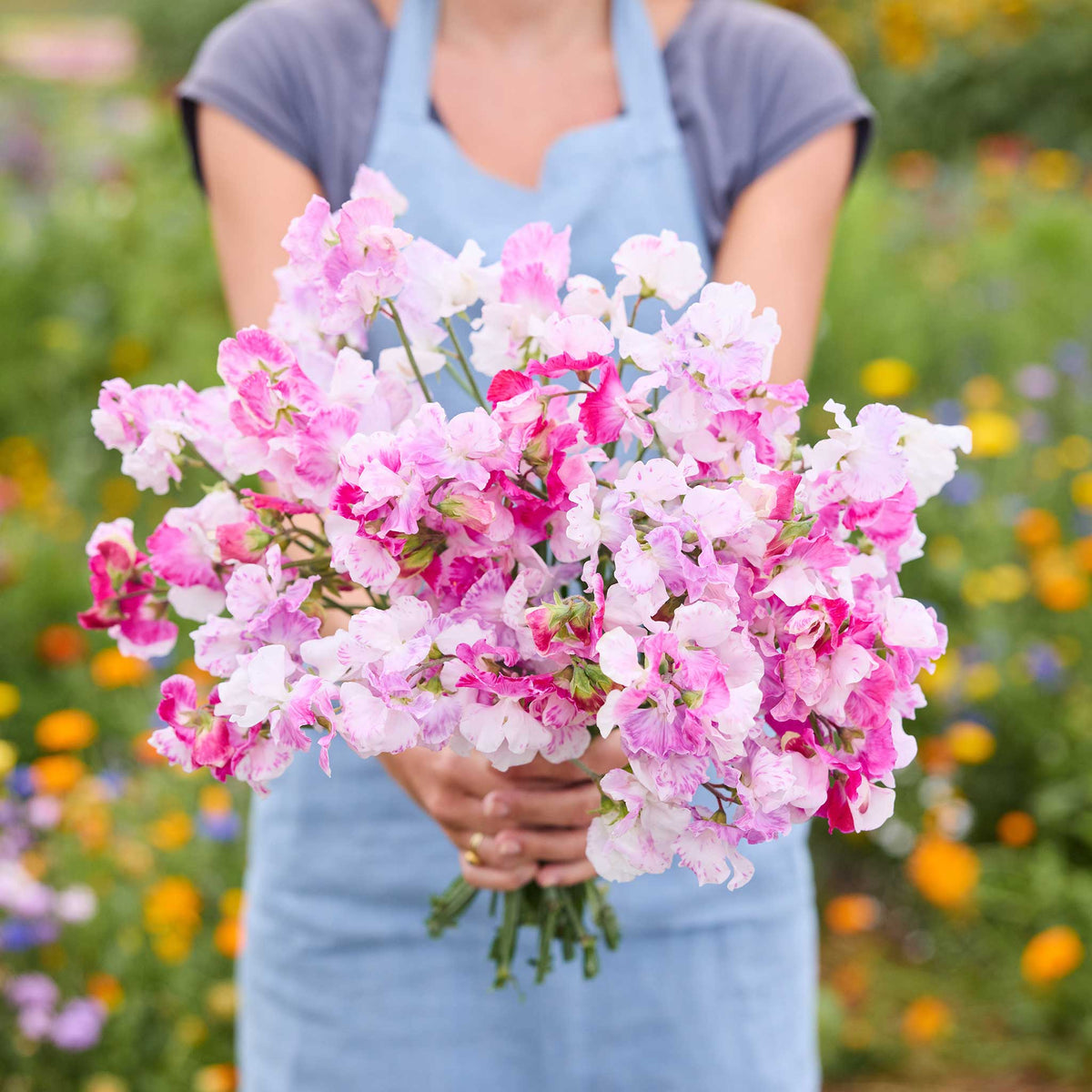 A person holding a bouquet of pink promse sweet pea flowers in a natural setting