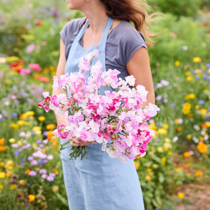 A person holding a bouquet of pink promse sweet pea flowers in a natural setting