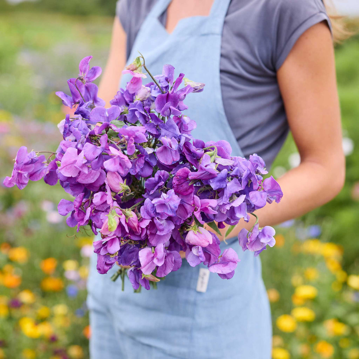A person holding a bouquet of royal blue sweet pea flowers in a natural setting