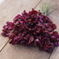 Bouquet of sweet pea royal maroon flowers on a wooden surface