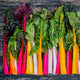 Swiss Chard Seeds - Rainbow Mix