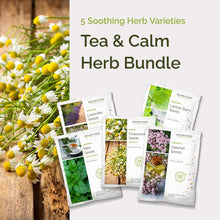 Graphic showing the contents of the tea & calm herb bundle
