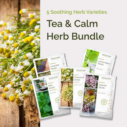 Graphic showing the contents of the tea & calm herb bundle