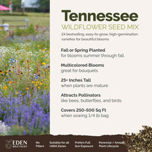A visual overview of the wildflower seed mix, showcasing expected floral blooms.