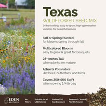 A visual overview of the wildflower seed mix, showcasing expected floral blooms.