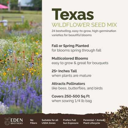 A visual overview of the wildflower seed mix, showcasing expected floral blooms.