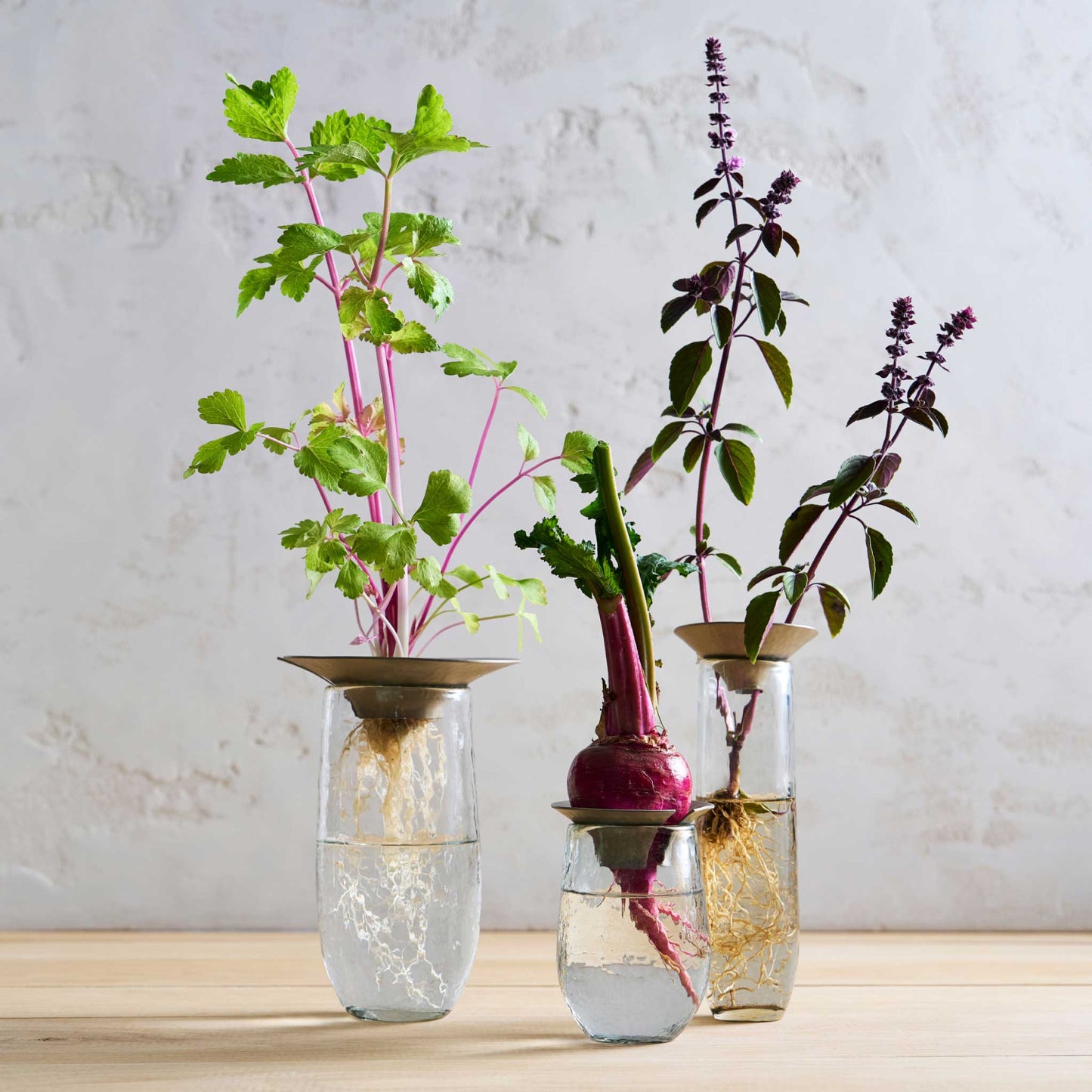 The collective Floral Propagation vases with flower cuttings showing the various sizes of clear pebbled glass with metal stem holders