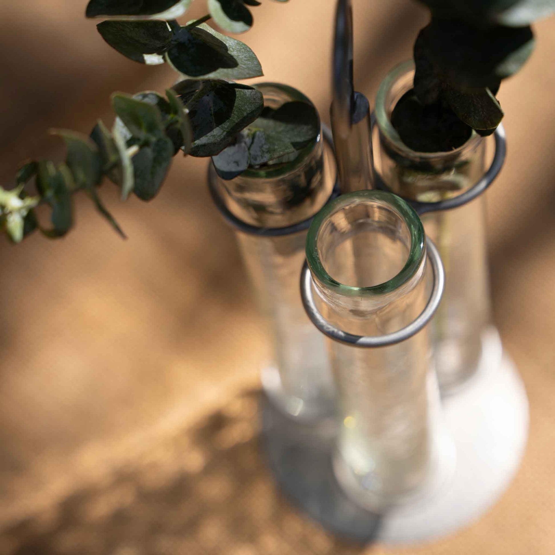 The collective glass bud vase with green-tinted rims held in a white stand, with eucalyptus leaves placed inside each tube, photographed on a warm brown surface.