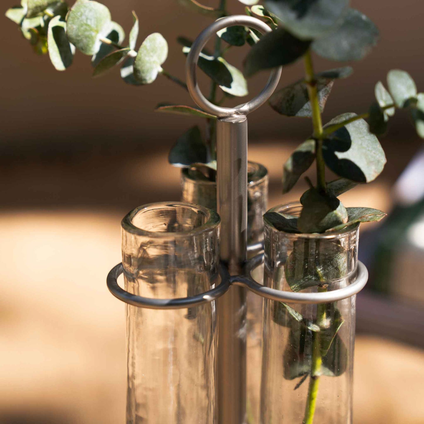 The collective glass bud vase with a silver metal stand and ring handle, holding green eucalyptus stems, set against a warm, softly blurred background.