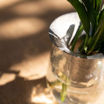 The Collective Hammered Glass Arranging Vases with a metallic silver rim, holding water and green plant leaves, set against a warm, sunlit beige background with soft shadows.