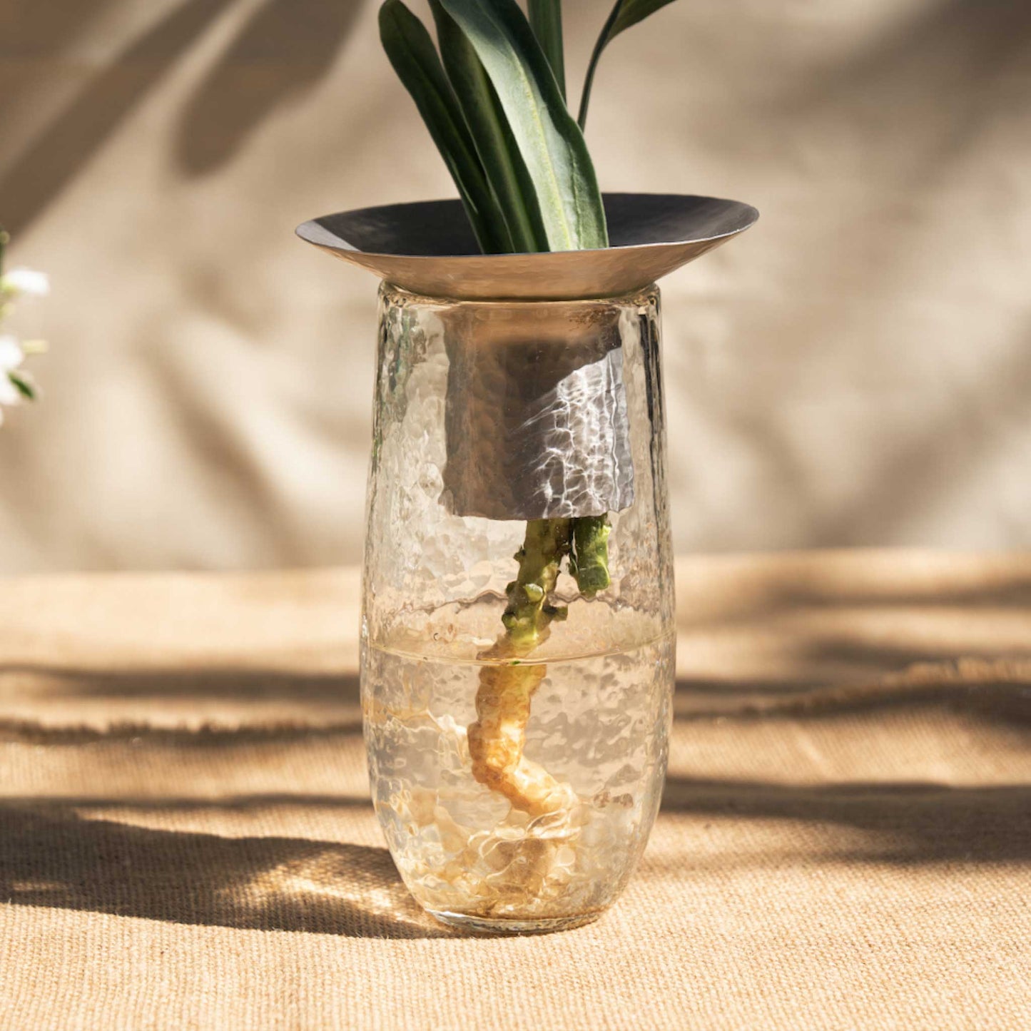 The Collective Hammered Glass Arranging Vases
