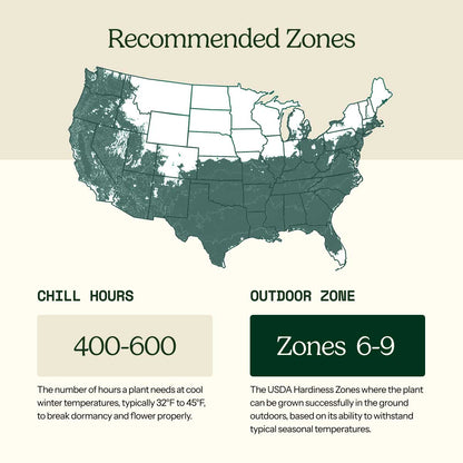 A USDA hardiness zone map of the United States with labeled patio and outdoor zones, showing a light teal map on a beige background with explanatory text blocks below.