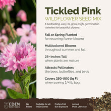 A visual overview of the wildflower seed mix, showcasing expected floral blooms.