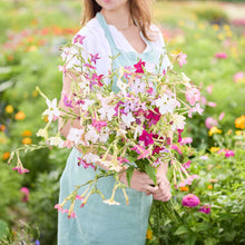 A person holding a bouquet of light and dark pink tobacco sensation mix flowers in a natural setting