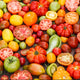 Tomato Seeds - Heirloom Rainbow Mixture