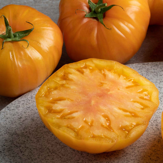 A ripe, orange Striped German tomato sliced, with whole tomatoes in the background.