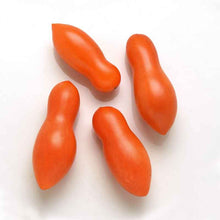 Four oblong Sun Dipper tomatoes showing their unique hourglass shape on a white background