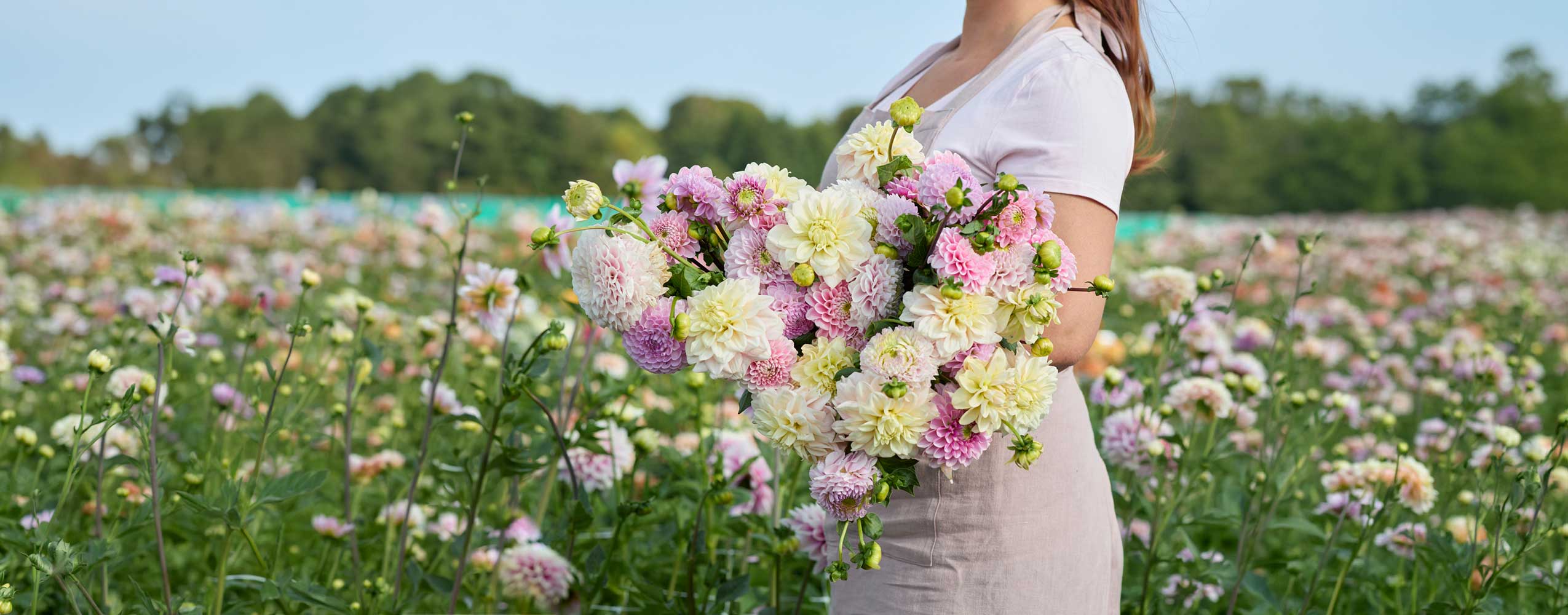 A woman in a white dress stands in a flower field holding a large bouquet of pink, purple, and white flowers.