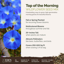A visual overview of the wildflower seed mix, showcasing expected floral blooms.