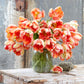 tulip apricot parrot