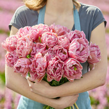 Person holding a bouquet of beachberry tulip flowers in a natural setting