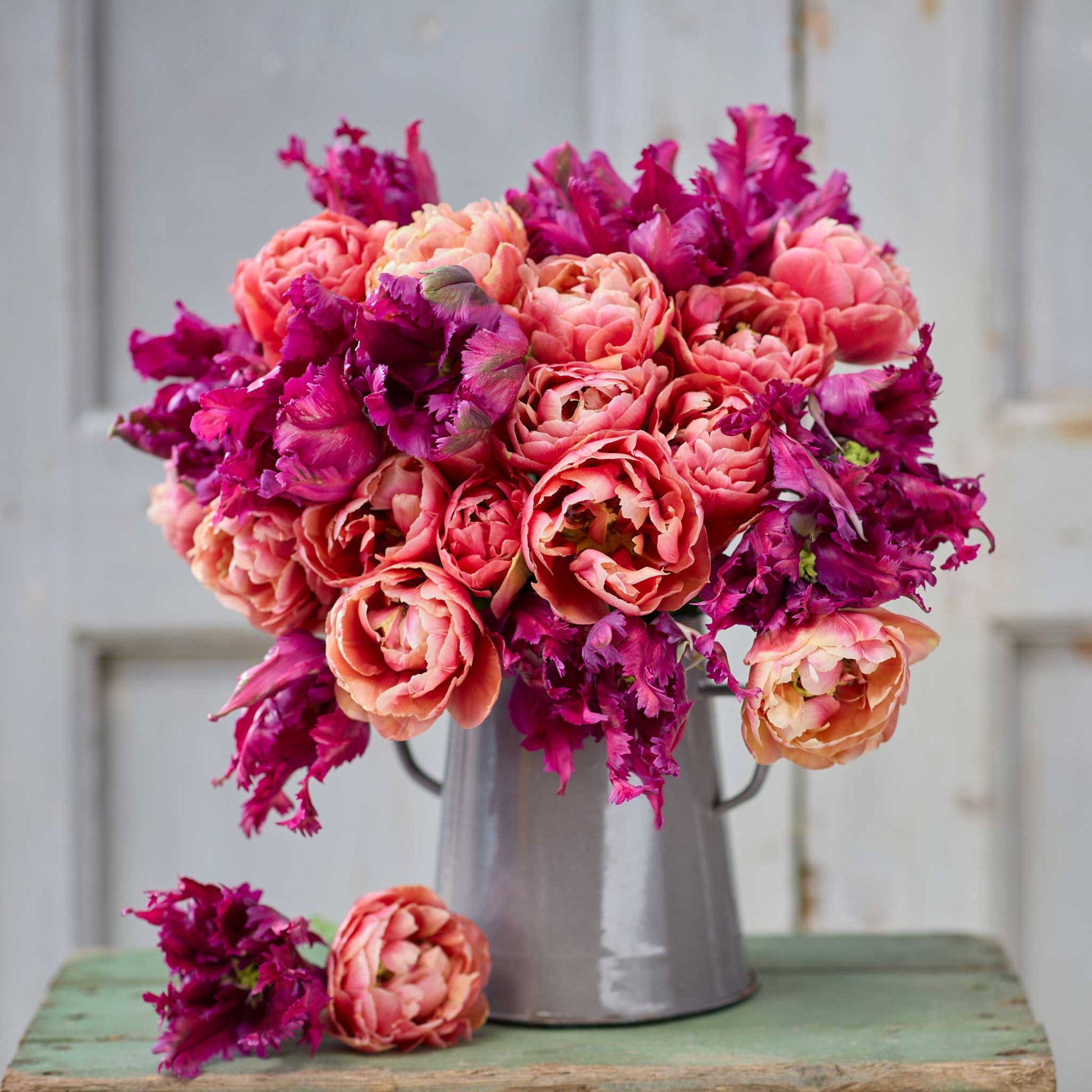 Bouquet of red and pink copper image and parrot negrita tulip bundle in a metal vase.