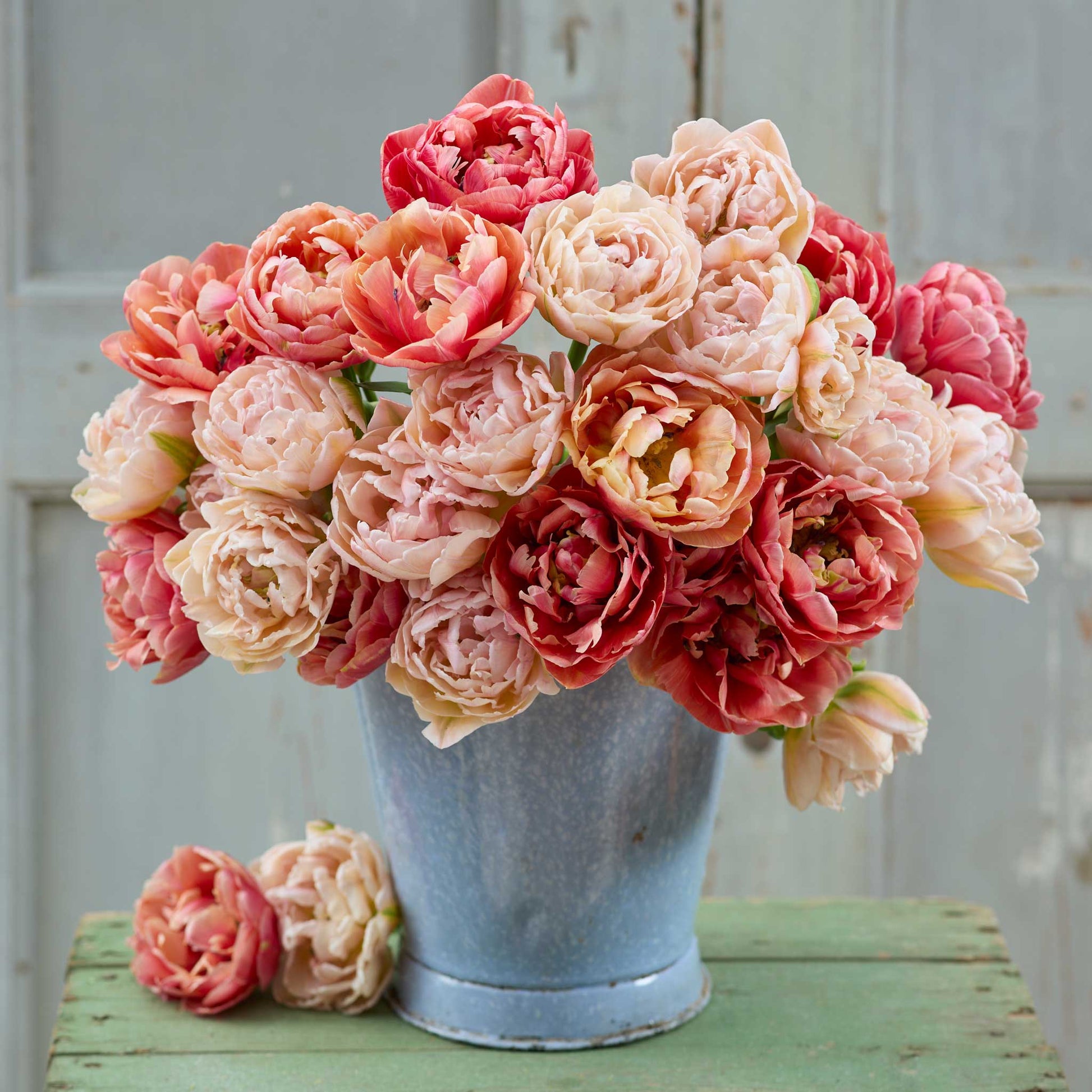 Bouquet of pink and peach flowers from the copper image and pink mist tulip bundle in a rustic blue bucket on a wooden surface.